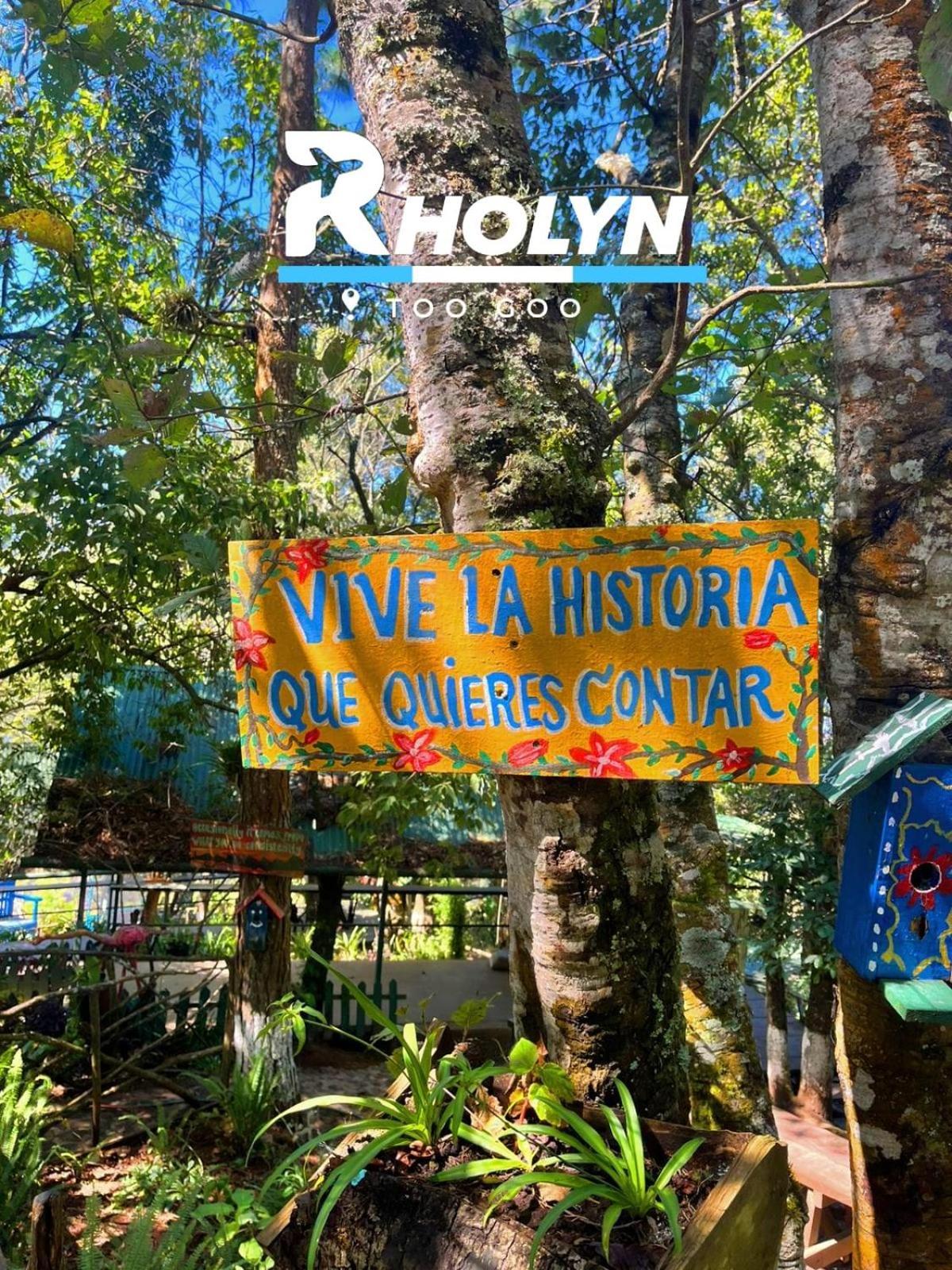 Hotel Rholyn Pura Vida !! Antigua Kültér fotó